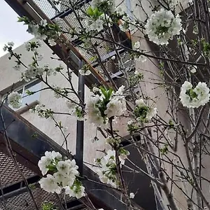  Apartamento El Cerezo Argentina